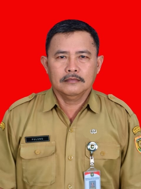 Temu Pulung Waluyo, S.Pd